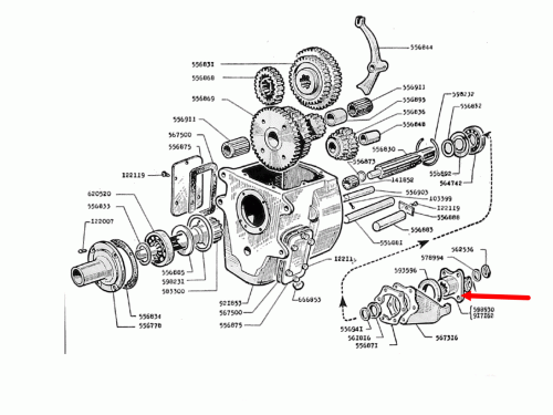 imageedit_3_8944259576