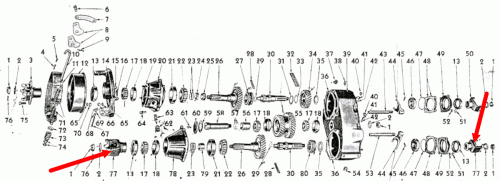 imageedit_4_9704954872