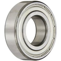 skf6304z