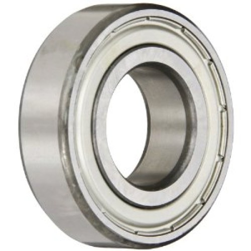 skf6304z